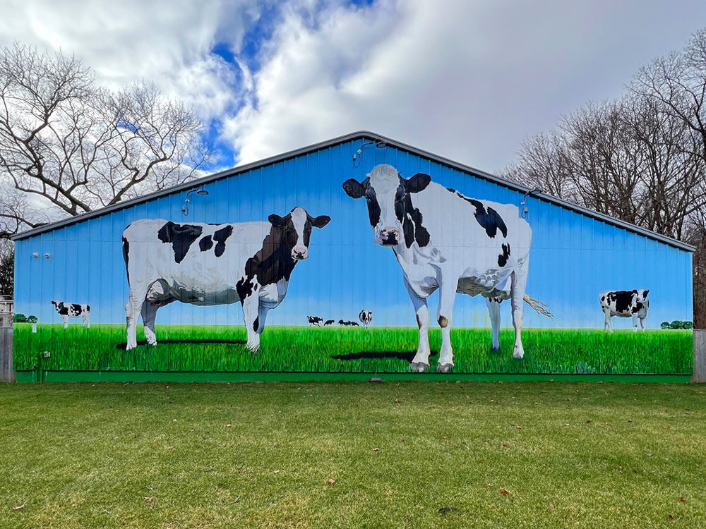 Giant Cow Mural by Bonnie Lee Turner and Charles Clear of The Art Of Life