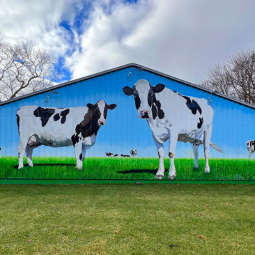 Enormous cows graze under a vibrant blue sky in this captivating 60' x 22' mural painted on a corrugated metal barn in Attleboro, MA. This eye-catching artwork was commissioned by New England Ice Cream Corporation and painted by Bonnie lee Turner and Charles C. Clear III. This mural is a must-see for selfie lovers and art enthusiasts alike!